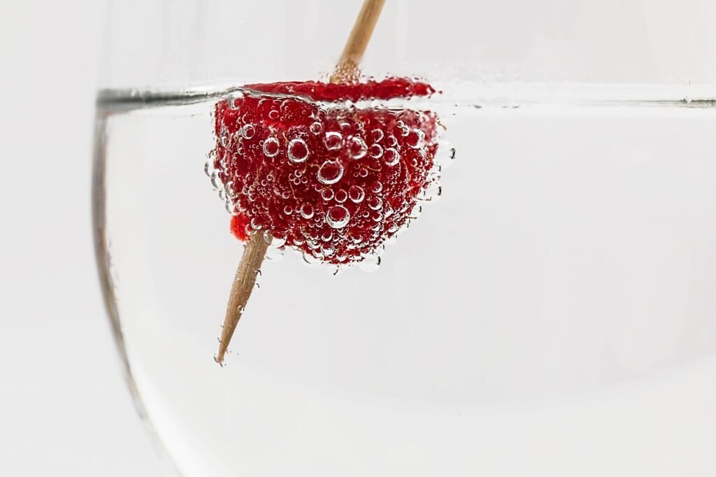 cocktail, drink, glass, alcohol, beverage, nature, bar, liquor, ice, cold, vodka, refreshment, cool, summer, refreshing, berry, soda water, bubble, raspberry-585315.jpg