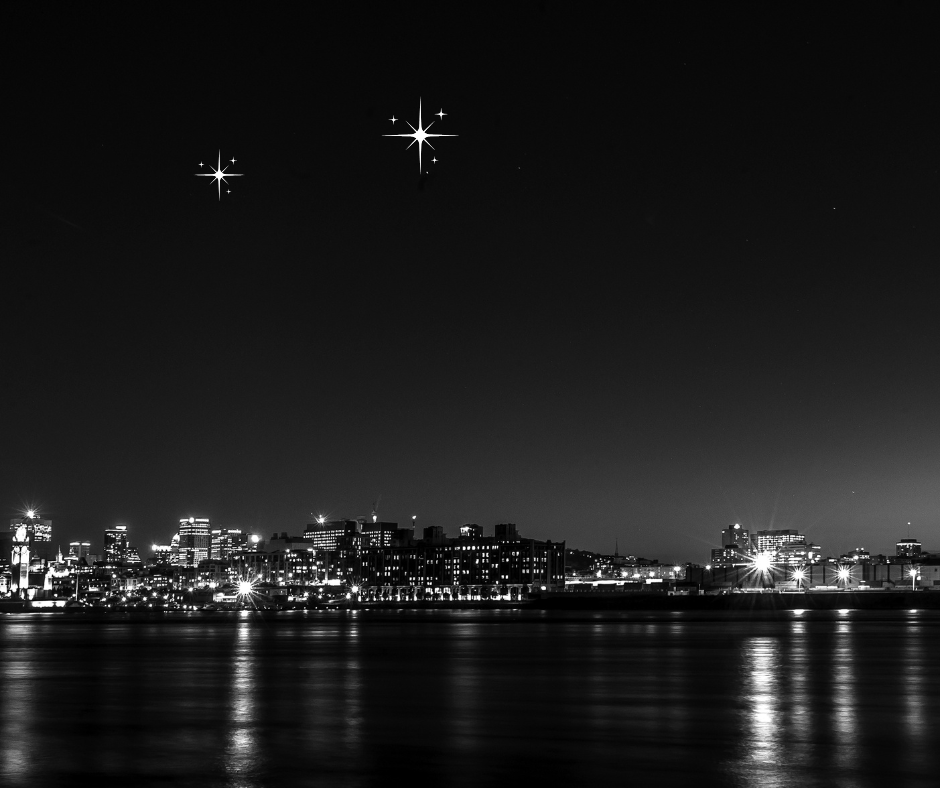 ALT: 강남호스트바 이미지